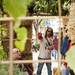 Southfield resident and architect Harold Remlinger points in his designed sukkah at the Sukkah Arbor in Liberty Plaza Park on Sunday. He used all sustainable materials and plans to donate the hay to Domino's Farms. Daniel Brenner I AnnArbor.com